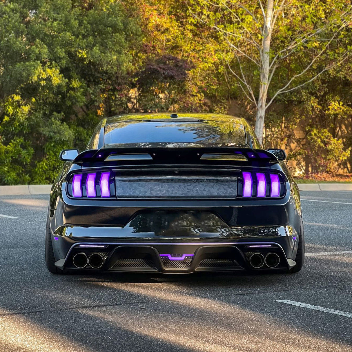 (Patented ABS) For 15-23 Ford Mustang Rear Spoiler W/ Smoke Gurney Flap Wicker Bill GT500 Style
